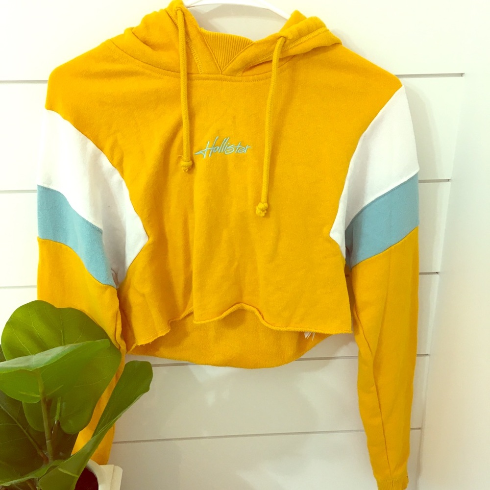 Hollister cropped hoodie